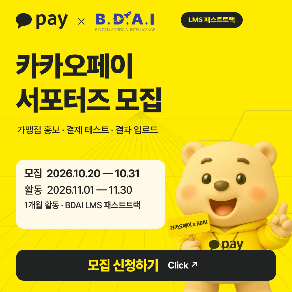 카카오페이서포터즈